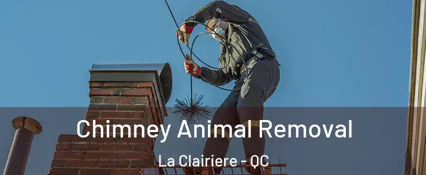 Chimney Animal Removal La Clairiere - QC