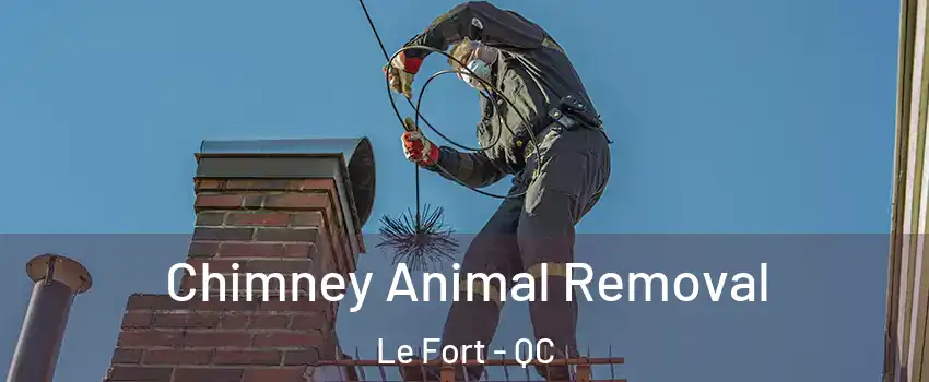 Chimney Animal Removal Le Fort - QC