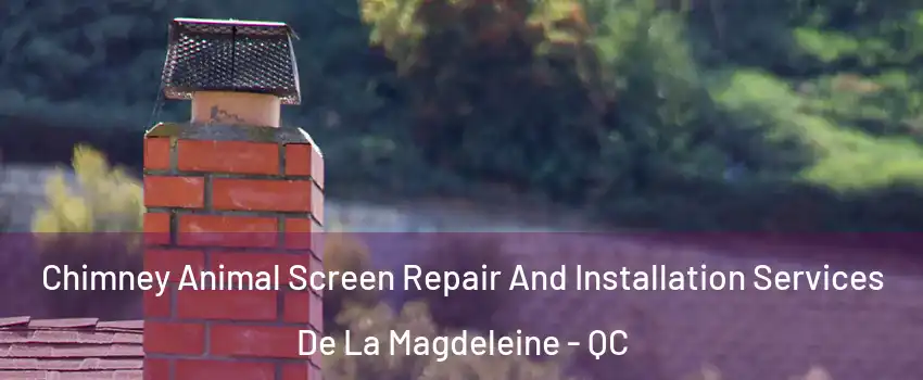  Chimney Animal Screen Repair And Installation Services De La Magdeleine - QC