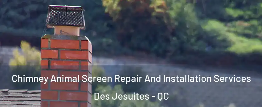  Chimney Animal Screen Repair And Installation Services Des Jesuites - QC