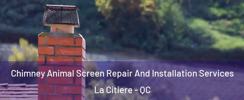 Chimney Animal Screen Repair And Installation Services La Citiere - QC