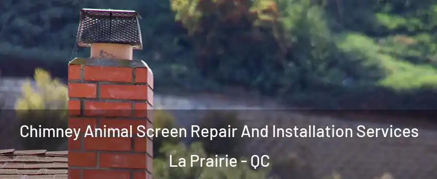  Chimney Animal Screen Repair And Installation Services La Prairie - QC