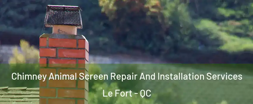  Chimney Animal Screen Repair And Installation Services Le Fort - QC