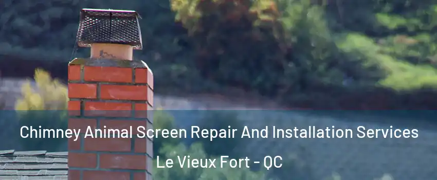  Chimney Animal Screen Repair And Installation Services Le Vieux Fort - QC