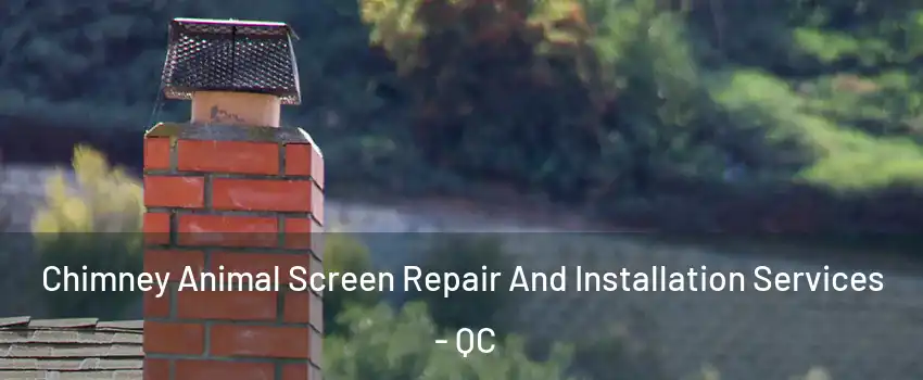 Chimney Animal Screen Repair And Installation Services - QC