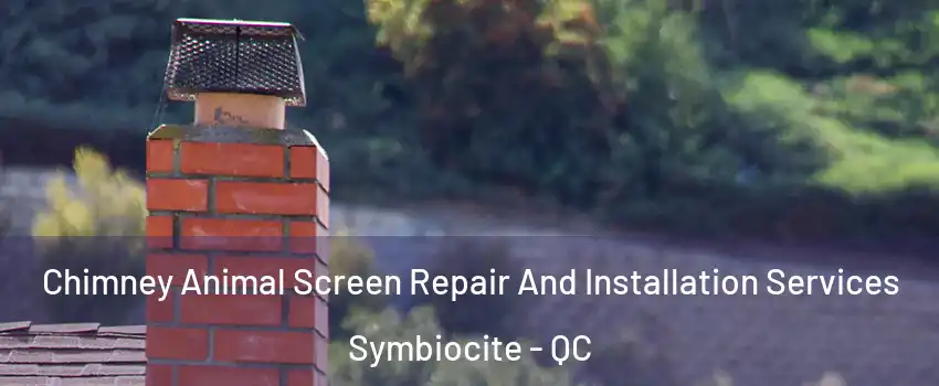  Chimney Animal Screen Repair And Installation Services Symbiocite - QC