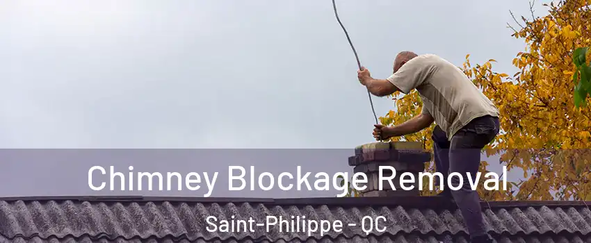  Chimney Blockage Removal Saint-Philippe - QC