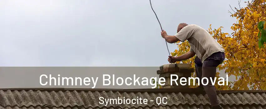  Chimney Blockage Removal Symbiocite - QC