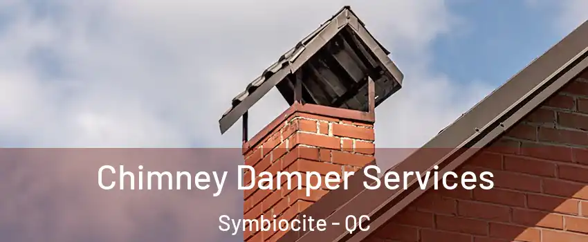  Chimney Damper Services Symbiocite - QC