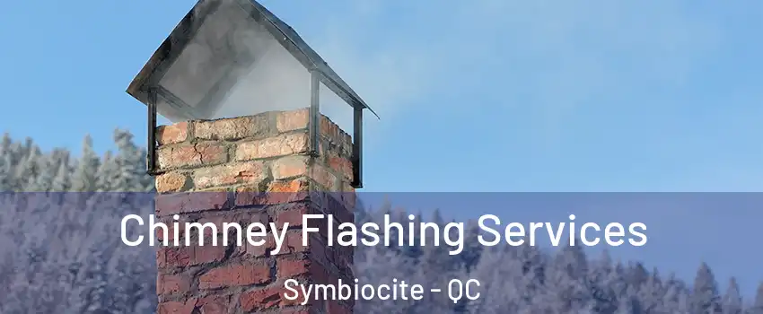 Chimney Flashing Services Symbiocite - QC