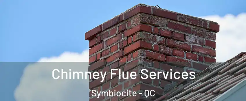  Chimney Flue Services Symbiocite - QC