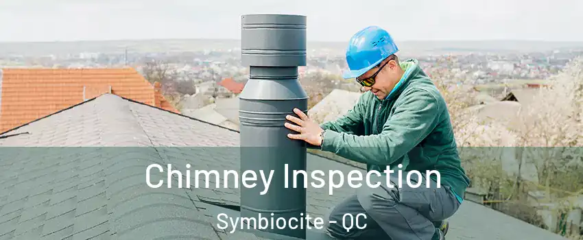  Chimney Inspection Symbiocite - QC