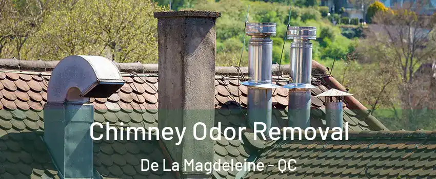  Chimney Odor Removal De La Magdeleine - QC