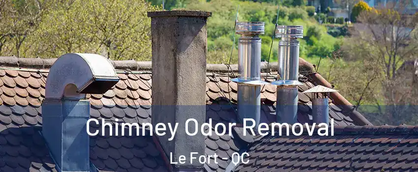  Chimney Odor Removal Le Fort - QC