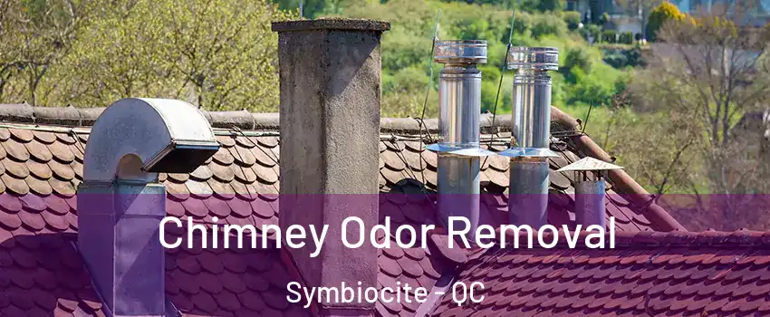  Chimney Odor Removal Symbiocite - QC