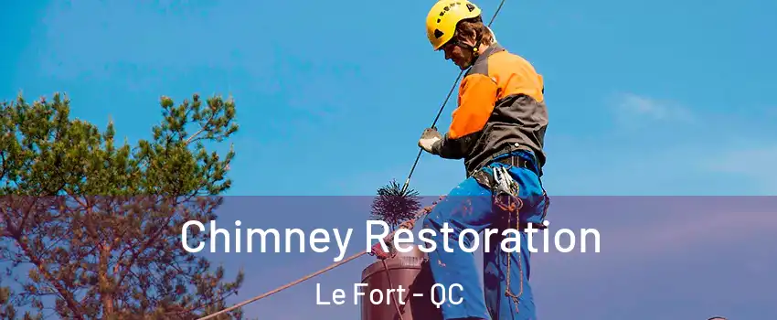  Chimney Restoration Le Fort - QC