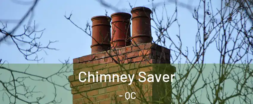  Chimney Saver - QC