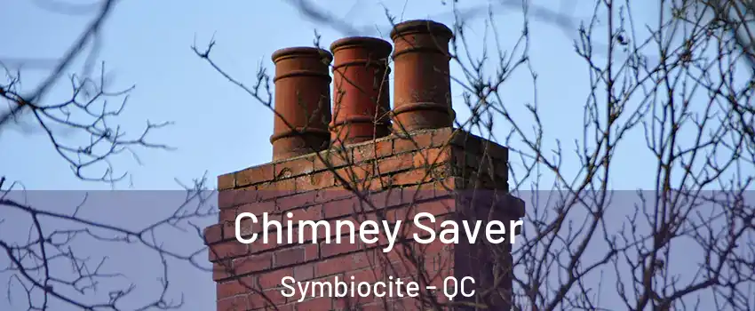  Chimney Saver Symbiocite - QC