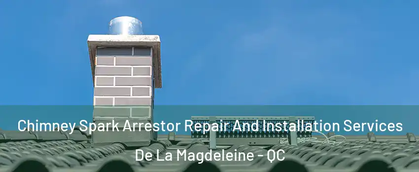  Chimney Spark Arrestor Repair And Installation Services De La Magdeleine - QC