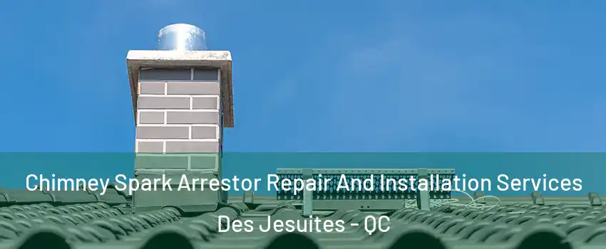  Chimney Spark Arrestor Repair And Installation Services Des Jesuites - QC