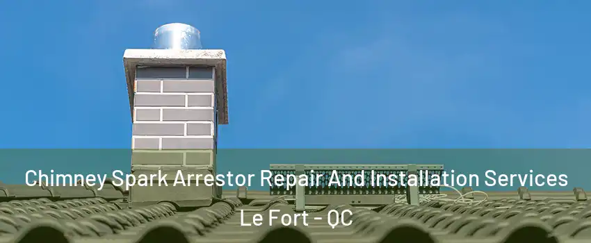 Chimney Spark Arrestor Repair And Installation Services Le Fort - QC