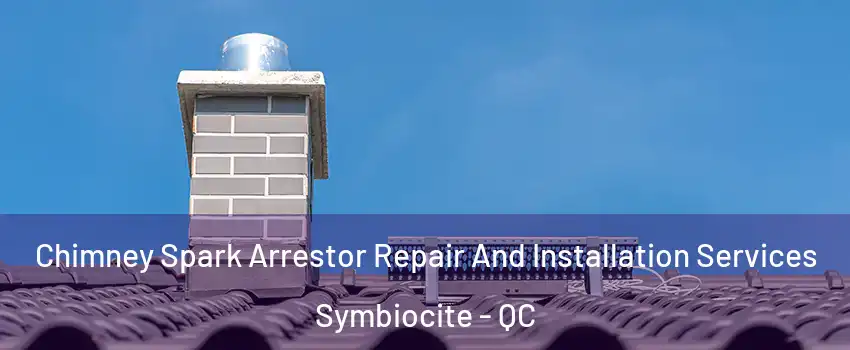  Chimney Spark Arrestor Repair And Installation Services Symbiocite - QC
