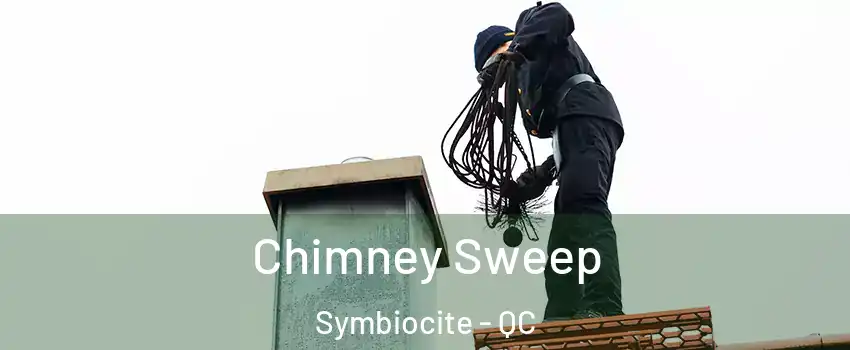  Chimney Sweep Symbiocite - QC