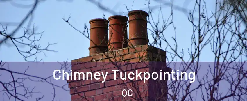  Chimney Tuckpointing - QC