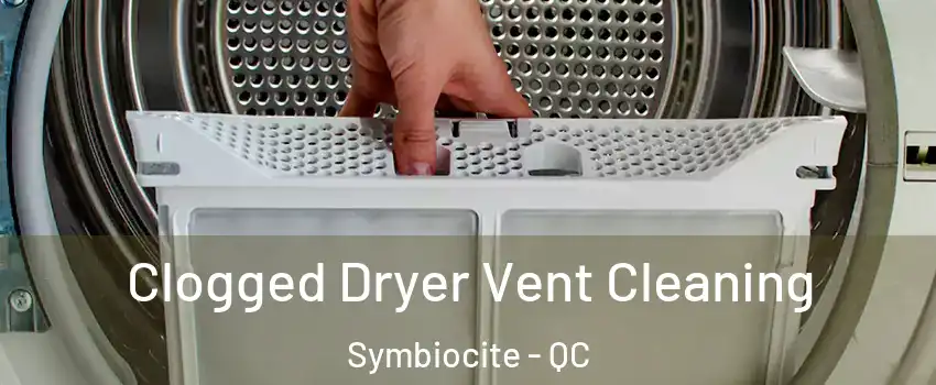  Clogged Dryer Vent Cleaning Symbiocite - QC