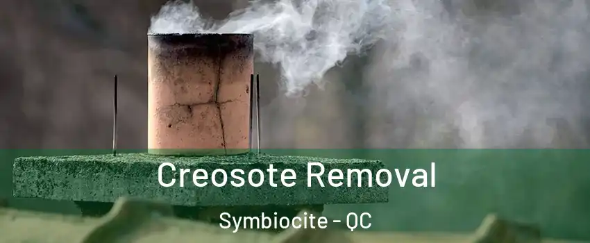  Creosote Removal Symbiocite - QC