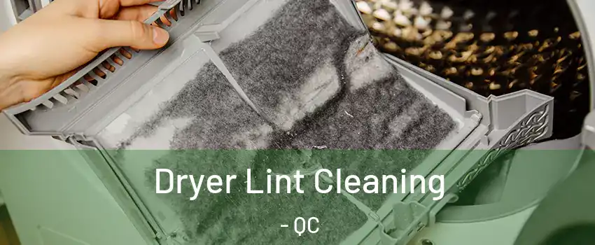  Dryer Lint Cleaning - QC