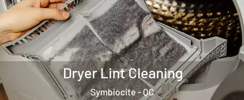  Dryer Lint Cleaning Symbiocite - QC