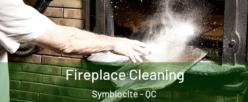  Fireplace Cleaning Symbiocite - QC