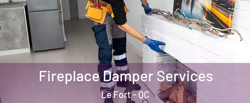  Fireplace Damper Services Le Fort - QC
