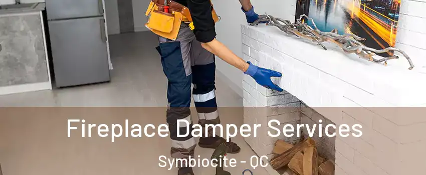  Fireplace Damper Services Symbiocite - QC