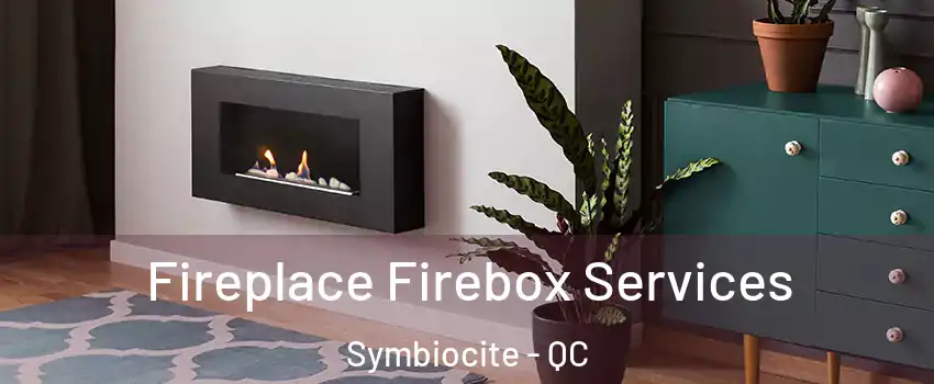  Fireplace Firebox Services Symbiocite - QC