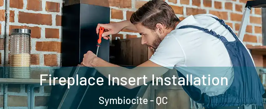  Fireplace Insert Installation Symbiocite - QC