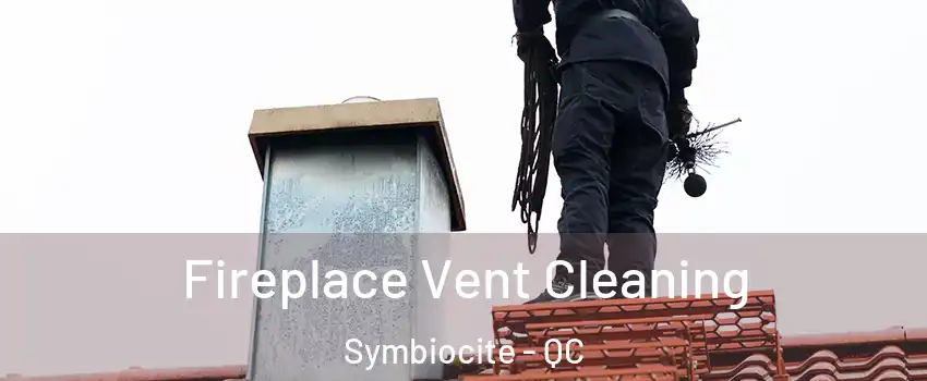  Fireplace Vent Cleaning Symbiocite - QC