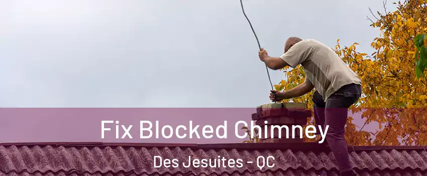  Fix Blocked Chimney Des Jesuites - QC