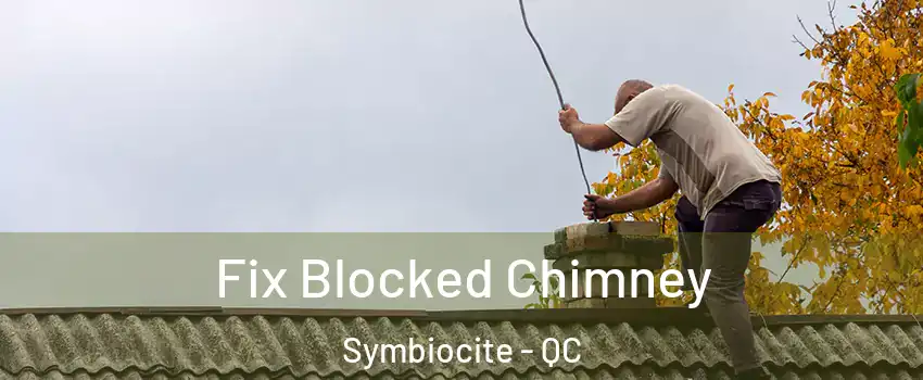  Fix Blocked Chimney Symbiocite - QC