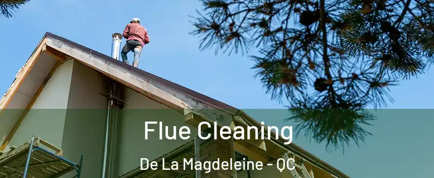  Flue Cleaning De La Magdeleine - QC