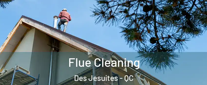  Flue Cleaning Des Jesuites - QC