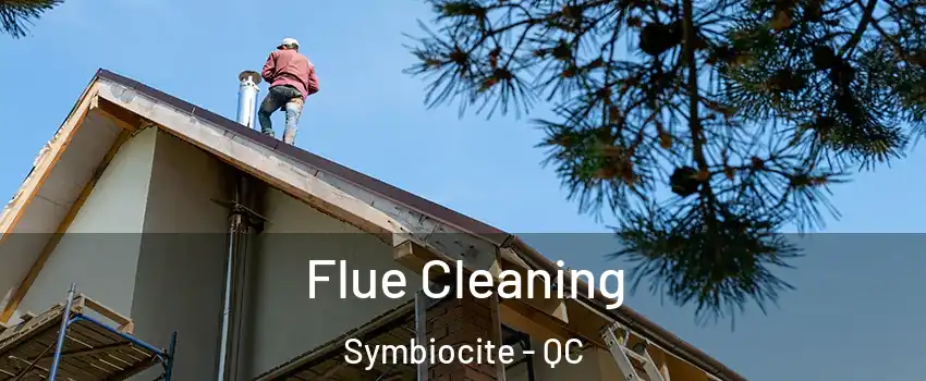  Flue Cleaning Symbiocite - QC