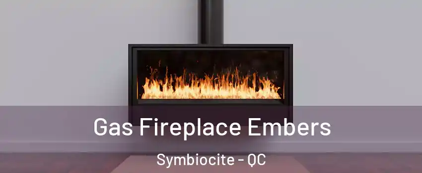  Gas Fireplace Embers Symbiocite - QC