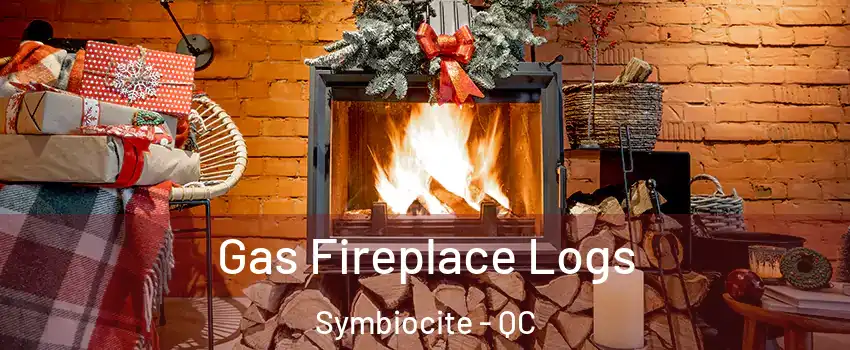  Gas Fireplace Logs Symbiocite - QC