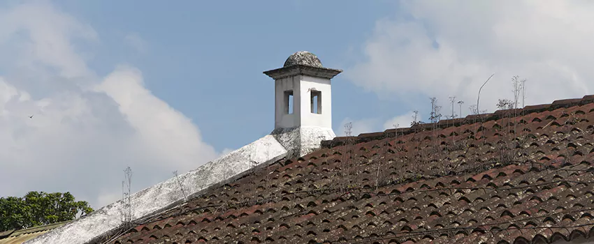 Wind-Resistant Chimney Caps Installation and Repair Services in La Prairie, Quebec