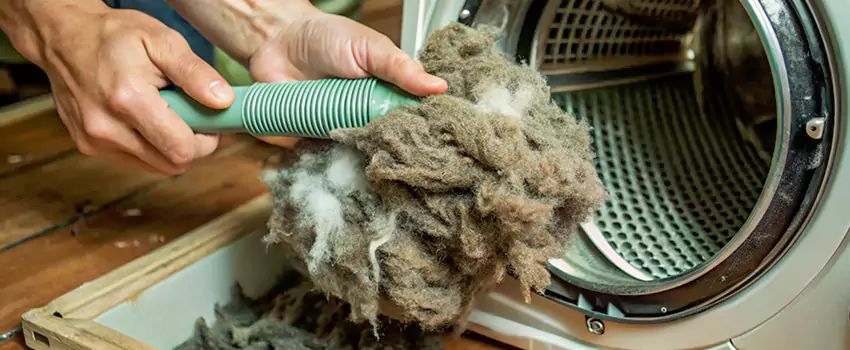 Best Dryer Lint Removal Company in La Prairie, Quebec