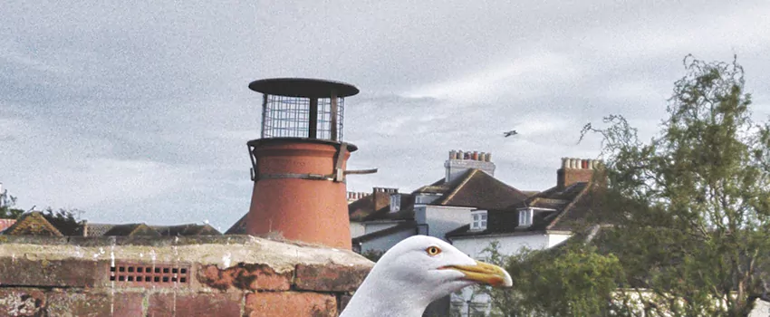 Chimney Cap Bird Guard Repair in La Prairie, Quebec