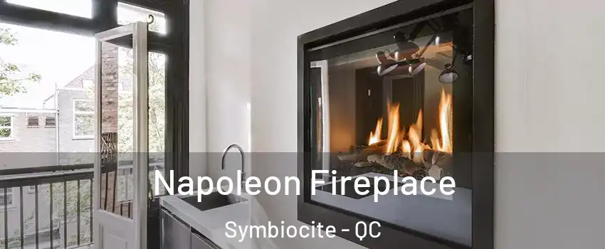  Napoleon Fireplace Symbiocite - QC