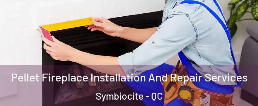  Pellet Fireplace Installation And Repair Services Symbiocite - QC